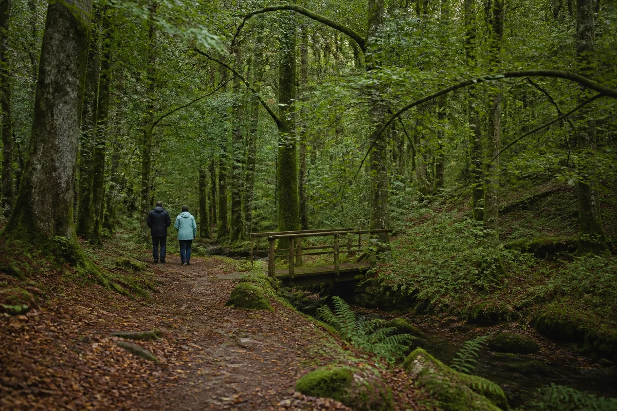 Two walkers following a moss-edged path through mature woodland